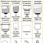 Lamp Socket Types